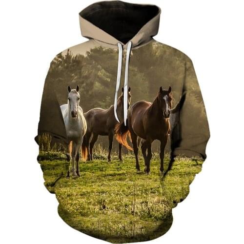 2021 Fashion Sweatshirt Men / Women 3d Hoodies Horse Animal Pattern Unisex Streetwear Hooded Winter Hoodie Pullover Print Tops