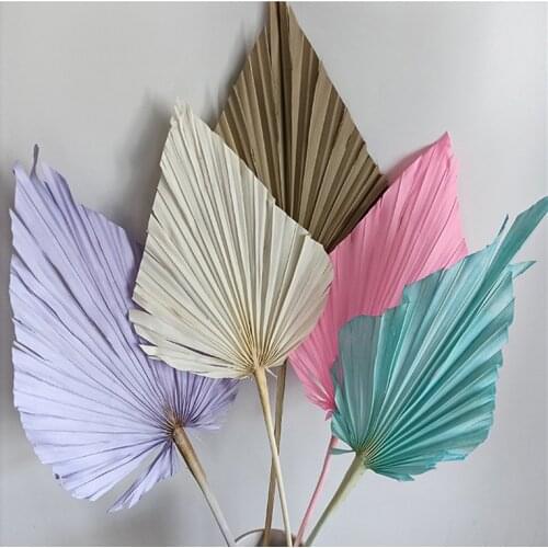 2pcs/18*40cm,Natural Dried Fan Palm,Eternell Display Arrange branch Art Craft Home Wedding Decoration Photo Props Accessories