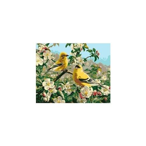 MaHuaf-W591 bird and flower chinese painting coloring by numbers digital Hand-painted canvas painting