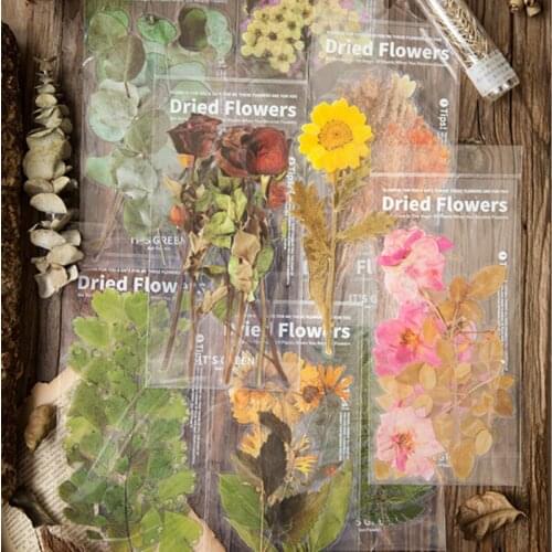 Hand Account Sticker Package Flower Shop Series Plant Hand Account Diary DIY Material Stickers 6 Cut Book Decoration Materials