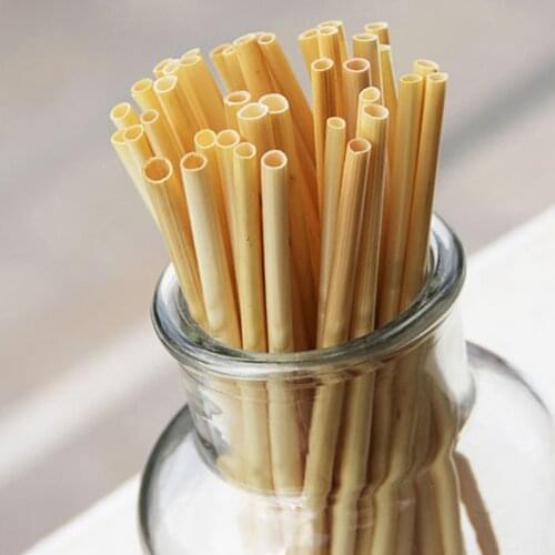 100pcs Disposable Straw Natrual Wheat Straw Degradable Drinking Bar Accessories Kitchen Supplies Kids DIY Craft Tools