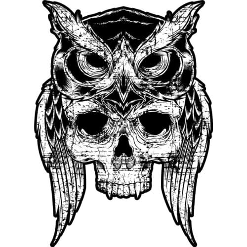 Owl Head Crest Helmet Tribal Chiefs Sticker Decal #04039