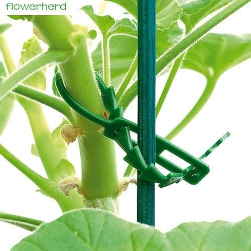 10PCS Reusable Vines Fastener Tied Buckle Hook Plant Vegetable Grafting Clips Agricultural Greenhouse Supplies