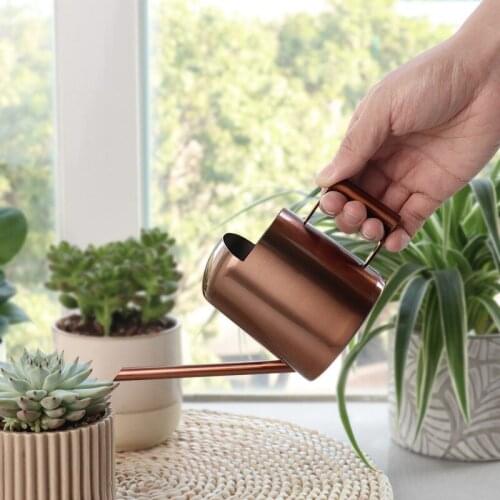 300ml Stainless Steel Watering Cans for Flowers Gardening Indoor Succulent Long Mouth Bronze Potted Small Plant Watering Can