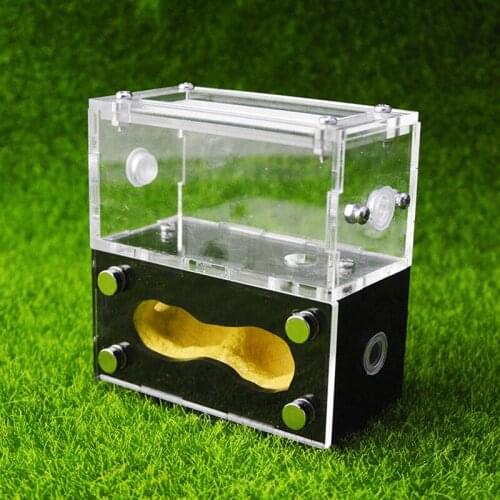 Square Acrylic Ant Plaster Nest Transparent Ant Farm Villa Insect Ornament Box