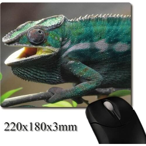 Funny facial expression of chameleon photo printed Heavy weaving anti-slip rubber pad office mouse pad Coaster Party favor gifts