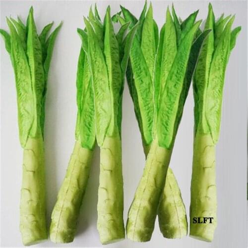 Fake artificial Vegetables Kitchen dining room hall hotel restaurant store shop decoration simulation asparagus lettuce model