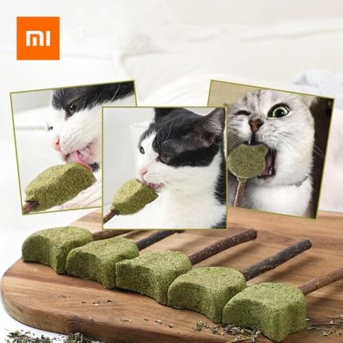 Pet toy Products Cat Mint Toothpaste Stick Catnip Natural Mutian Stick Catnip Lollipop Cats Kittens Chewing Bite Snacks cat toys
