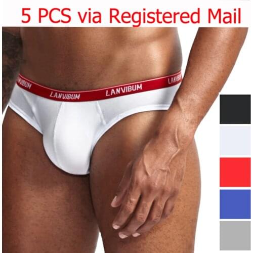 5 PCS/lot Cotton Mens Underwear Briefs High Quality Low Waist Solid Color Underpants Soft Briefs Panties Ropa Interior Hombre