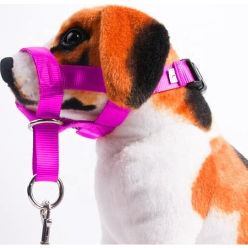 Safe Available Nylon Martingale Dog Collar SET