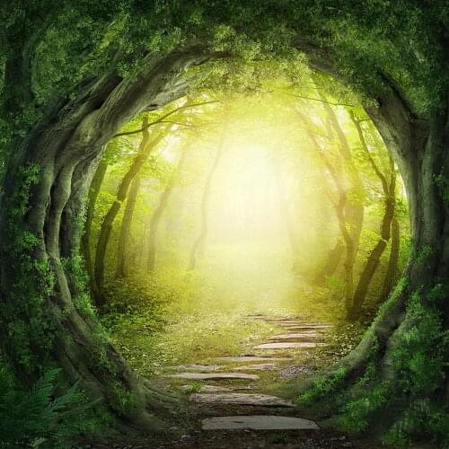 5D DIY Diamond Painting Woods landscape Crystal Diamond embroidery Cross Stitch Fantasy woods Needlework Home Decor