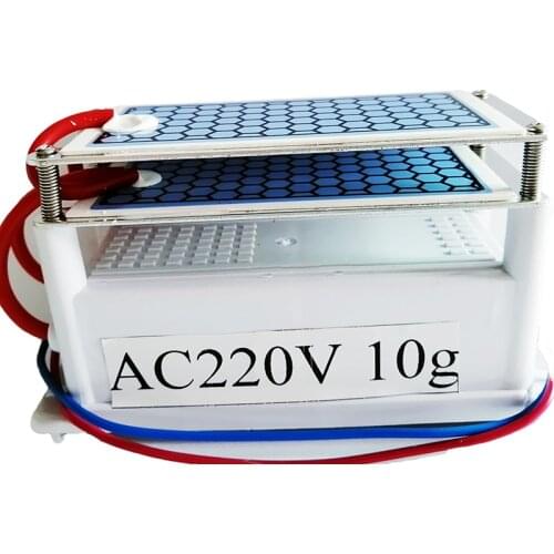 Ozone Generator Portable Air Purifier Ceramic 220v/110v 10g Double Integrated Long Life Ceramic Plate Ozonizer Air Disinfection