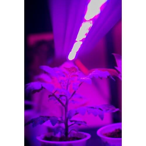 Led Svet Professional Lighting
