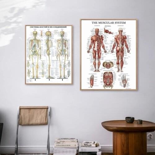 Human Anatomy Wall Art Poster Print Skeleton Muscle Medical Education Canvas Painting HD Print Modern Home Decoration Pictures