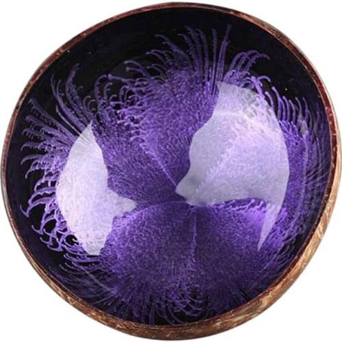 Coconut Shell Bowl Eco-friendly Spray Paint Coconut Shell Candy Container for Household