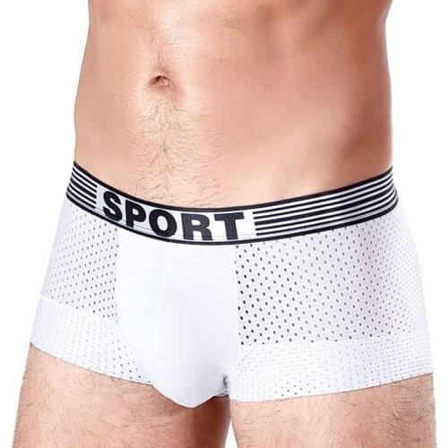 Mens Underwear Sexy U Convex Cutout Mesh Boxers Shorts Man Summer Cool Sport Boxer Breathable Comfortable Underpants Panties