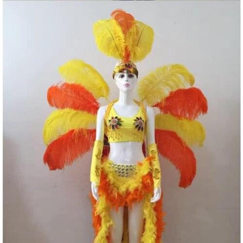 Festival Carnival costumes Singer dance Show Feather wings costume Samba Opening