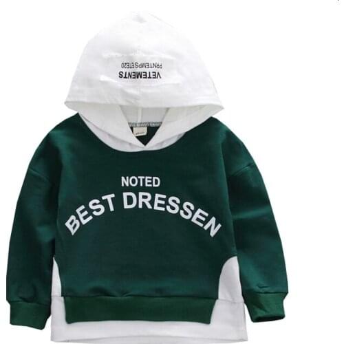 New Spring Autumn Children Cartoon Clothes Girl Fashion Letter Clothing Baby Boy Hooded Sweatshirt Kids Casual Cotton Tracksuit
