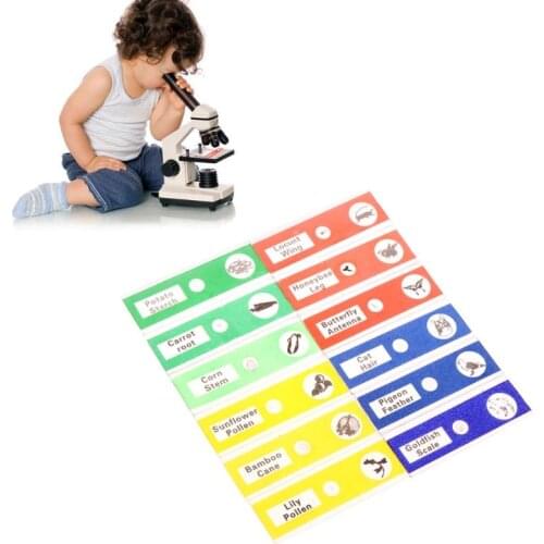 OOTDTY 12 Pcs Prepared Microscope Slides Set Specimen for student Basic Biology Education