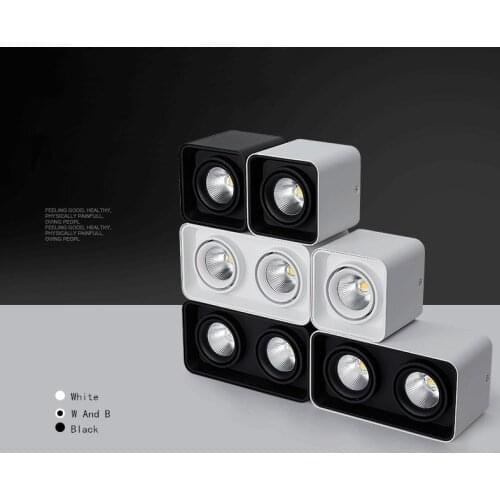 Square Dimmable LED Wall Mounted Downlight 10W 12W 20W 24W COB Spot light Single/Double Head Ceiling Lamp Surface Mounted Dow