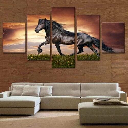 5 Pieces Picture Painting Wall Art Room Decor Print Poster animal prints Wall Pictures for sittiing Room Canvas Painting Framed