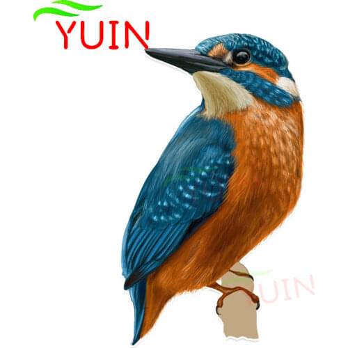 Car Stickers Coolest A Humming Bird Flight Animal Decal Cute PVC Bumper Decoration Accessories Color Waterproof Stickers 16*9cm