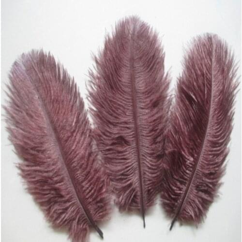 Beautiful Brown ostrich feathers 10 pcs length 6-8 inches / 15-20 cm DIY costume and hat stage decoration