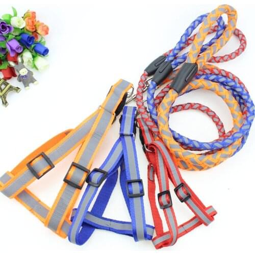 Selling 120cm Nylon Pet LED Dog Leash Night Safety Flashing Glow Pet Supplies Cat Dogs Drawing Small Leads For LED Dog Collar