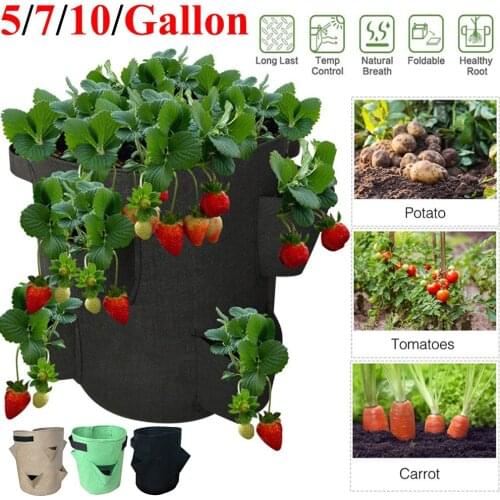 Flower Plant Grow Bag Strawberry Grow Container Bag Vegetable Gardening Thicken Pot Planting Grow Bag Garden Tool D30