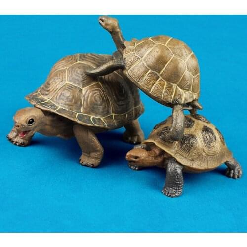 3pcs Lifelike Realistic Tortoise Turtle Models Set Solid Plastic Wild Animal Figures Children Cognitive Toys Childrens'day Gifts