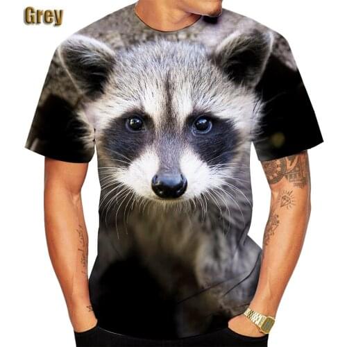 New Fashion 3D Funny Raccoon Printed Cute T-shirts Animal Series Raccoon Streetwear T-shirts for Men/Women/Boys Tops Tee