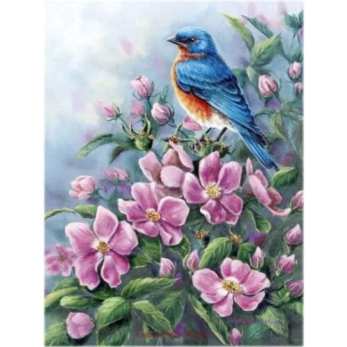 Embroidery Counted Cross Stitch Kits Needlework - Crafts 14 ct DMC Color DIY Arts Handmade Decor - Blue Bird and Wild Roses
