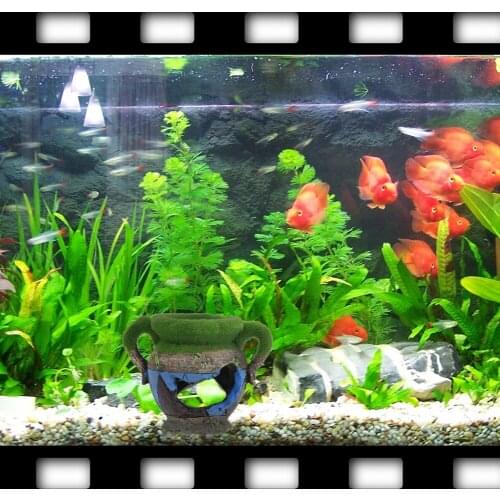 Simulation Resin Moss Vase Aquarium Accessories Fish Shrimp Tank Decoration Hiding House Underwater View Landscaping