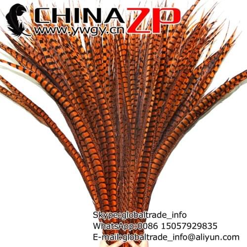 Manufacturer in CHINAZP Factory 50pcs/lot Size 80-90cm(32-36inch) Good Quality Dyed Orange Lady Amherst Pheasant Tail Feathers