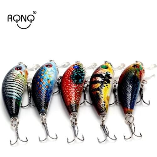 RQNQ Fishing Lure For Carp
