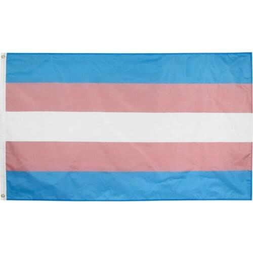 100/200/500/1000 Pcs/Lot LGBT Trans Transgender Pride Flag 3x5FT Polyester Banner Gift Sports Vivid Color Digital Printed
