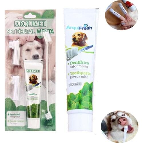 Pet Dog Cat Toothbrush Set Hot Puppy Beef Taste Teddy Dog Toothbrush Toothpaste Brush Head Finger Tooth Back Up Brush Care Set