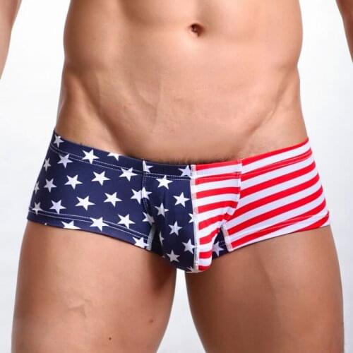 New Sexy Men MINI Boxer Shorts USA Flag Printed Mens Trunks New Low Waist Designed Mens Boxers Cotton Gay Penis Pouch FX1011