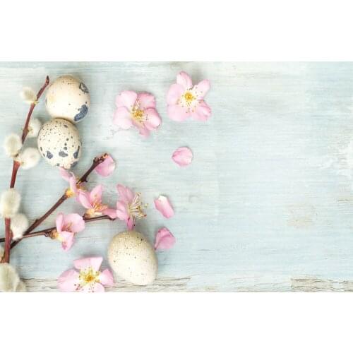 Peach Eggs Backdrop Photography Photographic Background Fairy Backdrop E190127A74