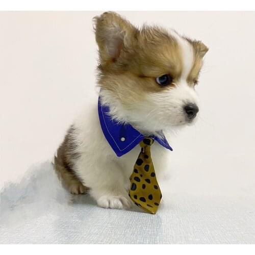 Pet Clothes Anime Jujutsu Kaisen Nanami Kento Cosplay Costume Cat Tie Dog Cosplay Outfits Accessories Halloween Suit Custom Made