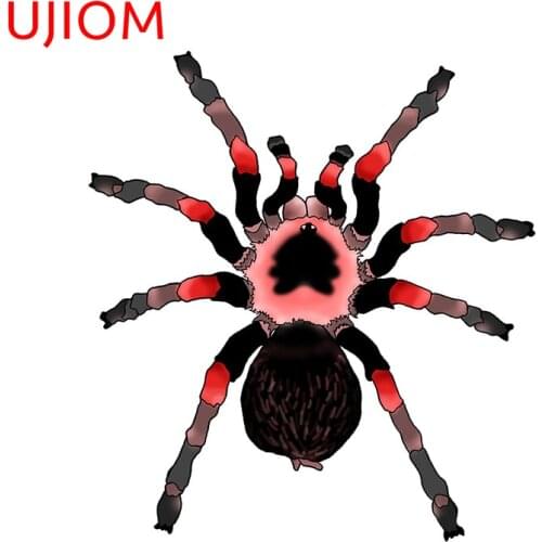 UJIOM Wall Stickers Cartoon Red Knee Tarantula Wallpaper Decoration Waterproof Sticker Accessorie Room Home Decor Art PVC Decals