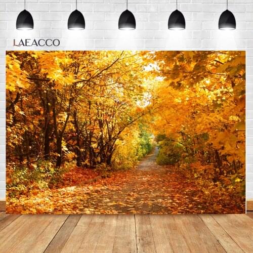 Laeacco Autumn Fallen Leaves Trees Sunshine Photography Backdrops Photographic Backgrounds Portrait Photocall Photo Studio