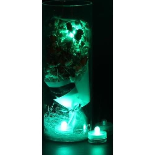 Fast Shipment 100pcs Frost LED Producting! Small Battery Operated Micro Waterproof Mini led LIght For Xmas Christmas