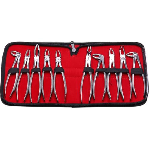AZDENT 10 Pcs/Set Adult Tooth Extracting Forceps Surgical Extraction Plier Kit Stainless Steel