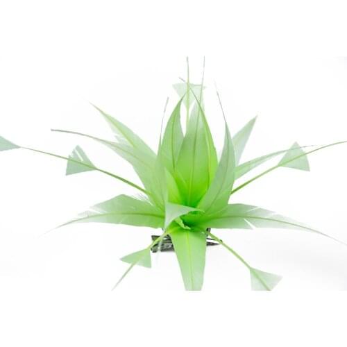 New Women Light Green Fluffy Goose Feathers Flower DIY Wedding Corsage Decoration Carnival Clothes Accessories Plumes For Crafts