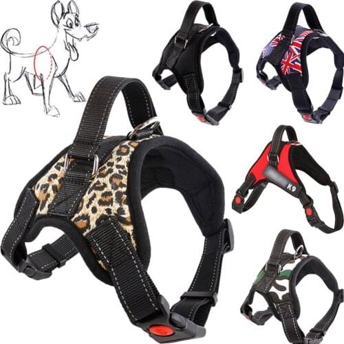 Oeny Harnesses