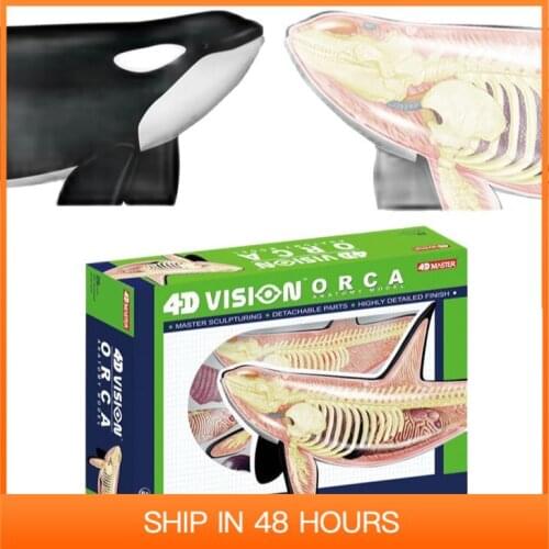 4D MASTER Killer Whale Animal Puzzle Grampus Toys Models Detachable DIY Gifts Educational Tool 19 Parts 26099