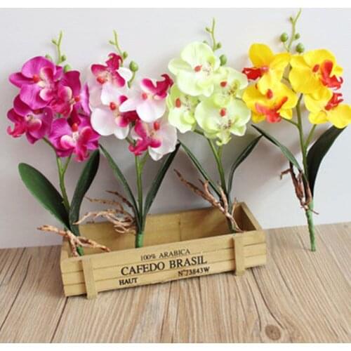 Artificial Plants & Flowers Moth Orchid Flower Arrangement Phaleanopsis Beauty