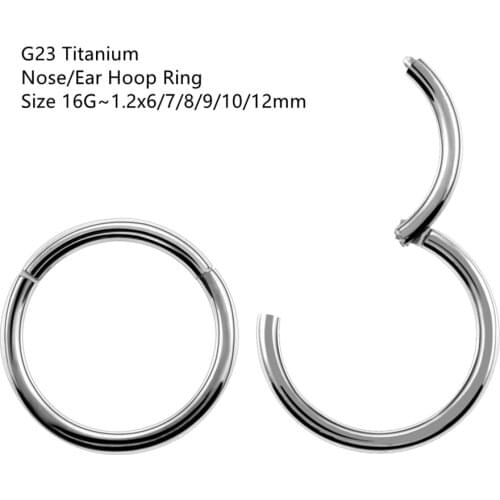 20PCS G23 Titanium 16G Ear Seamless Hinged Segment Ring Clicker Cartilage Nose/Lip Hoop Ring Earring Daith Helix