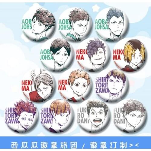 1pc Haikyuu!! High School Volleyball badge around 58mm Icons brooch